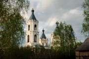 Церковь Рождества Христова, , Лещиново, Нижнеломовский район, Пензенская область