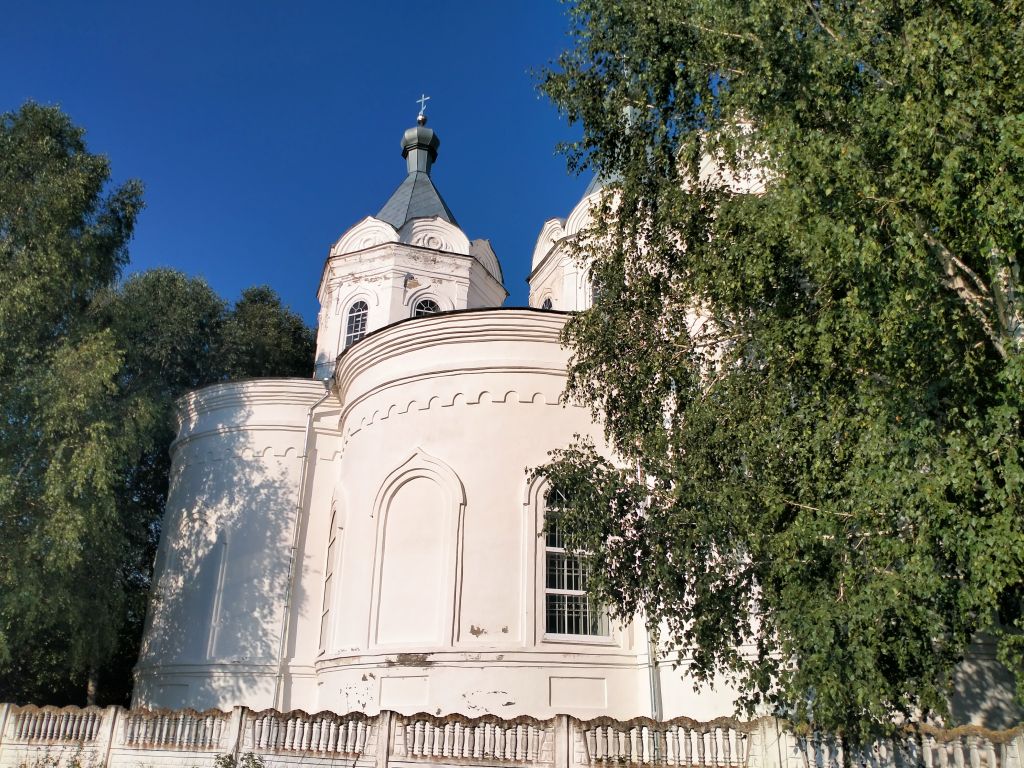 Церковь Рождества Христова, Лещиново (Нижнеломовский район, Пензенская область). архитектурные детали