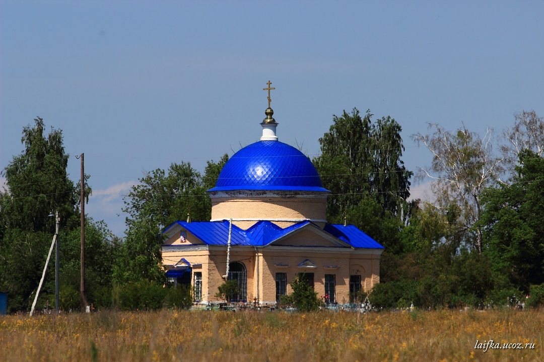 Куракино. Церковь Николая Чудотворца. общий вид в ландшафте