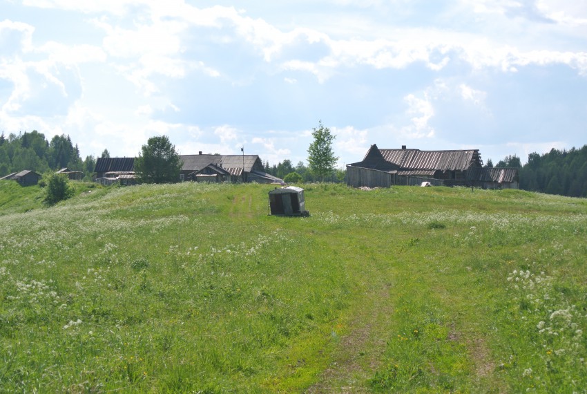 Часовня Георгия Победоносца, Ермолинская (Сюма) (Шенкурский район, Архангельская область). общий вид в ландшафте