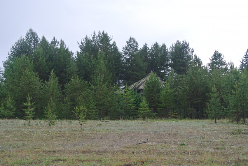 Церковь Покрова Пресвятой Богородицы, Малое Верховье (Рыкаловское), урочище (Шенкурский район, Архангельская область). общий вид в ландшафте