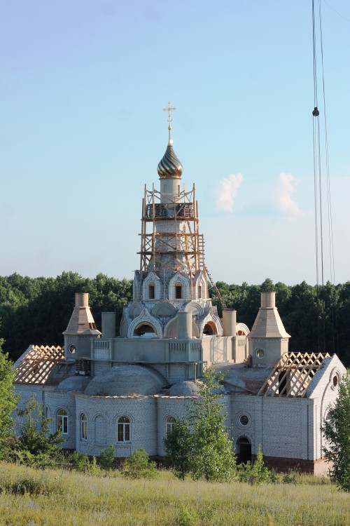 Церковь Троицы Живоначальной, Бабяково (Новоусманский район, Воронежская область). документальные фотографии