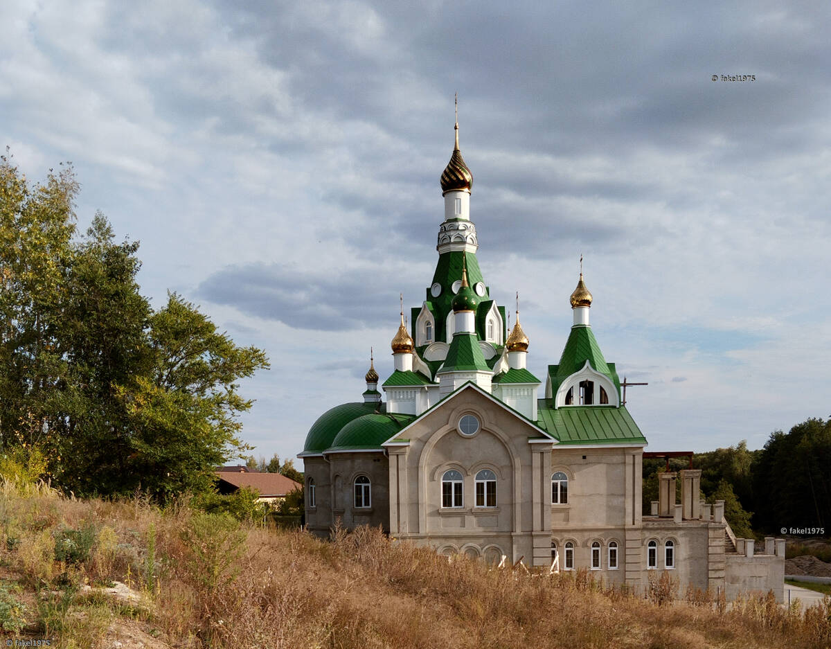 Церковь Троицы Живоначальной, Бабяково (Новоусманский район, Воронежская область). общий вид в ландшафте
