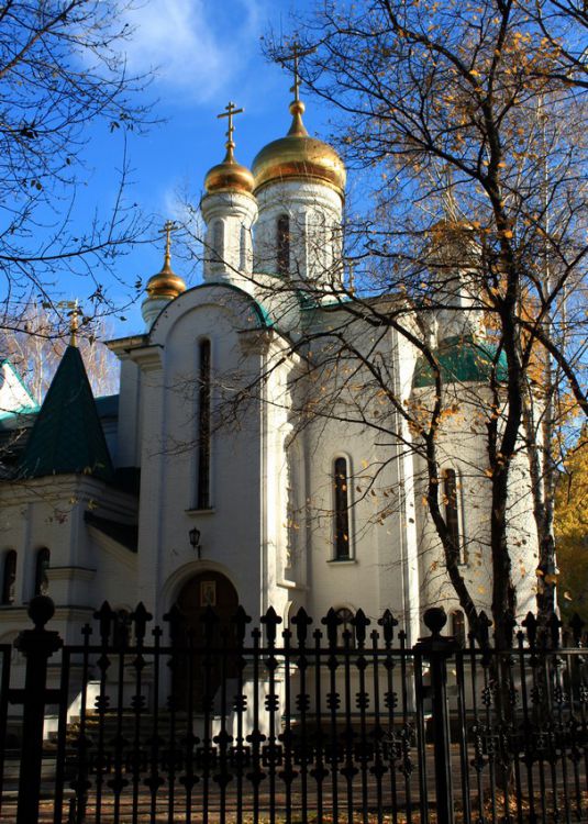 Церковь Всех Святых, в земле Российской просиявших, Тольятти (Тольятти, город, Самарская область). фасады, Вид из-за ограды подворья