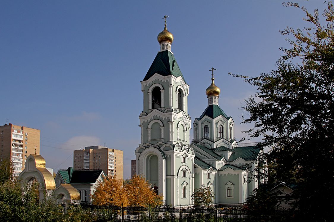 Церковь Тихона, Патриарха Всероссийского, Тольятти (Тольятти, город, Самарская область). общий вид в ландшафте