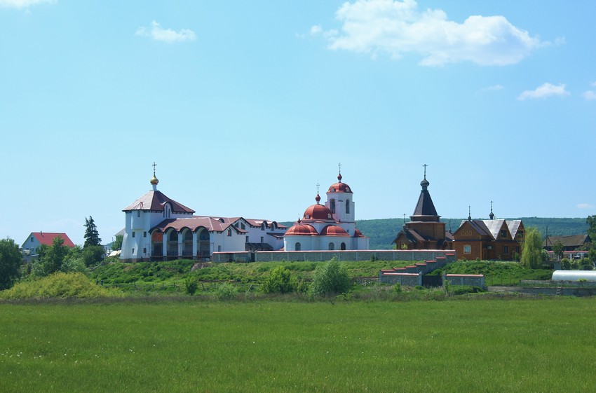 Подгоры. Заволжский Ильинский женский монастырь. общий вид в ландшафте