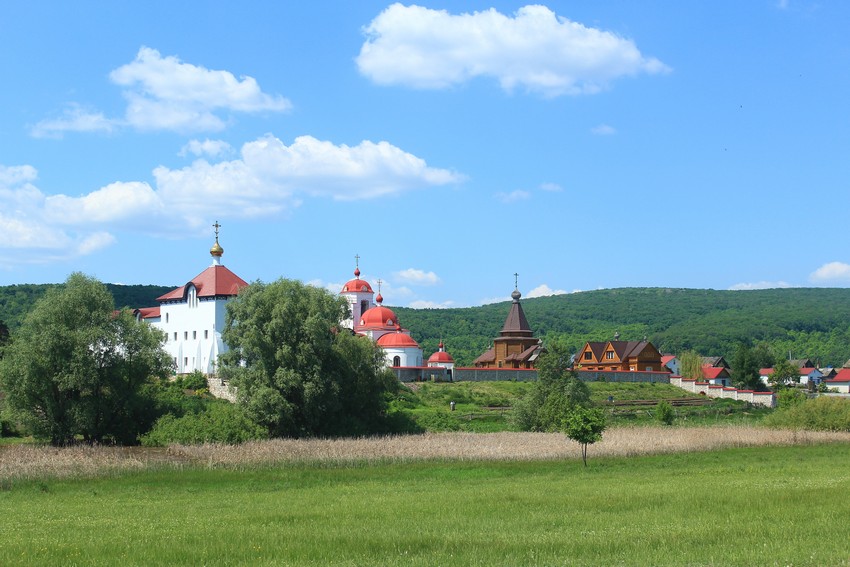Подгоры. Заволжский Ильинский женский монастырь. общий вид в ландшафте