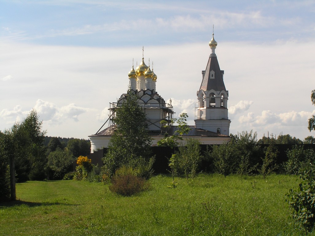 Талицы. Церковь Рождества Пресвятой Богородицы. общий вид в ландшафте