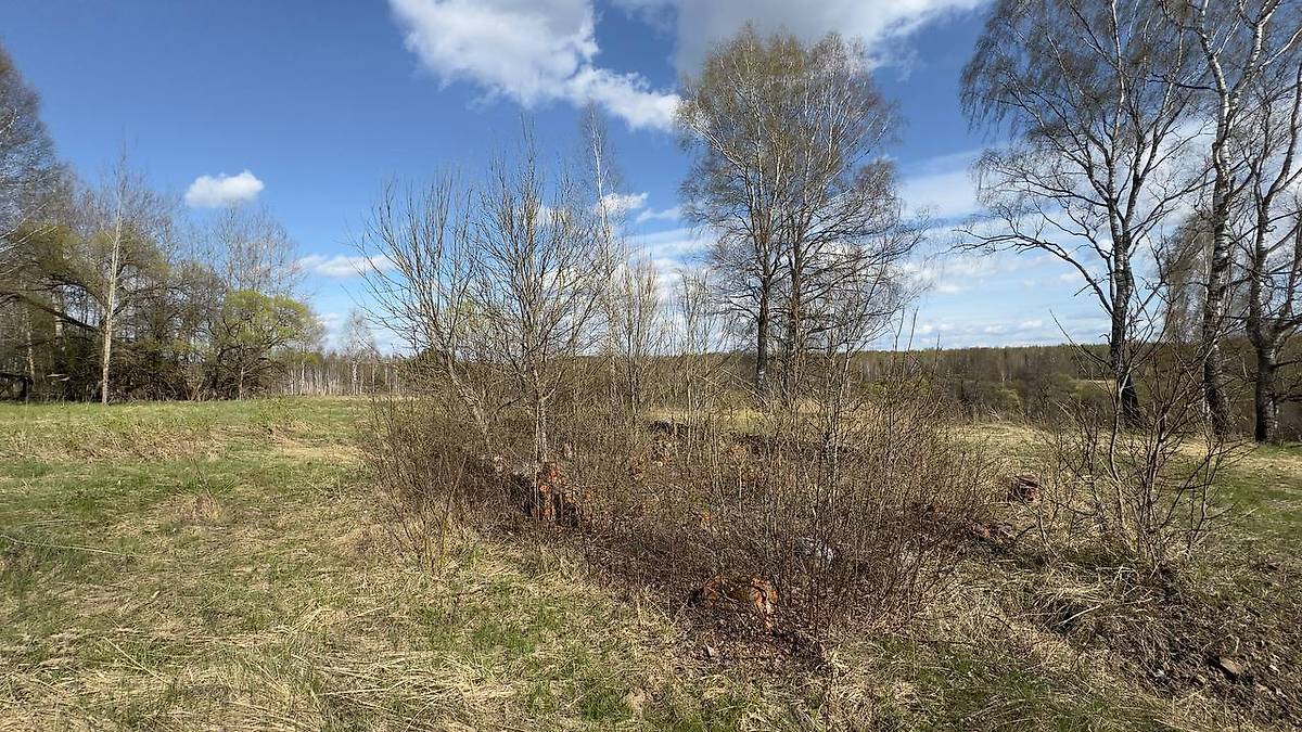 . Церковь Георгия Победоносца, Юрковщина (Хиславичский район, Смоленская область)