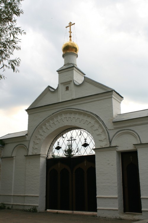 Ежово. Мироносицкий женский монастырь. общий вид в ландшафте