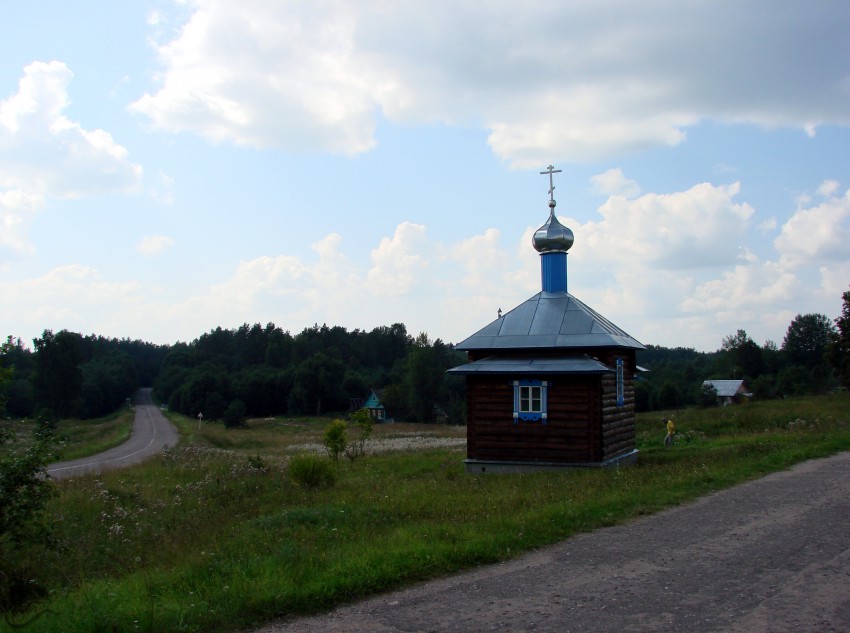 Часовня Успения Пресвятой Богородицы, Большое Захонье (Плюсский район, Псковская область). общий вид в ландшафте