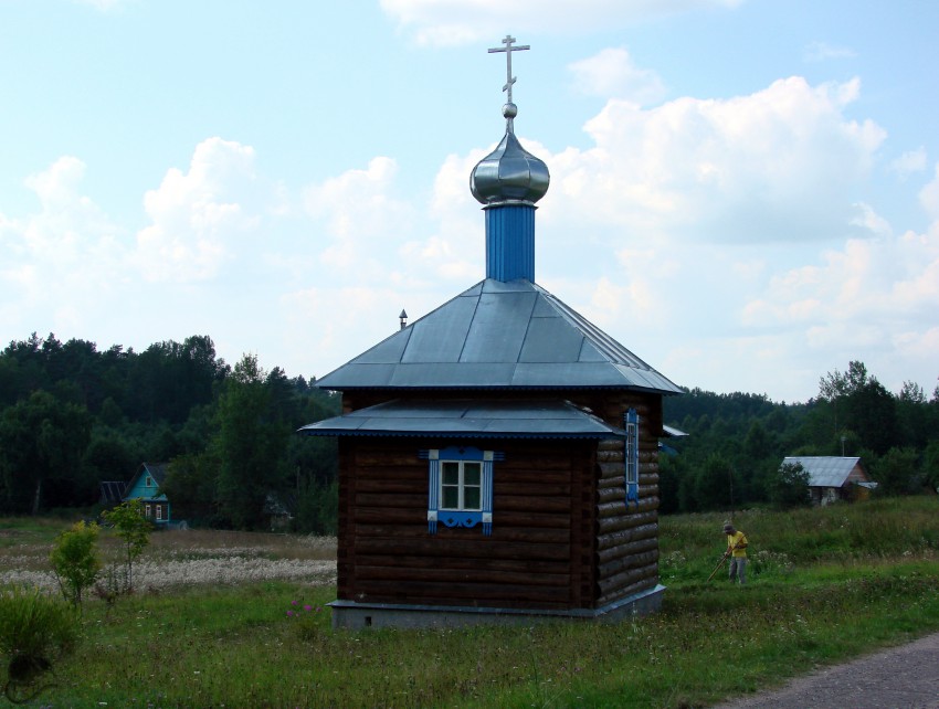 Часовня Успения Пресвятой Богородицы, Большое Захонье (Плюсский район, Псковская область). общий вид в ландшафте
