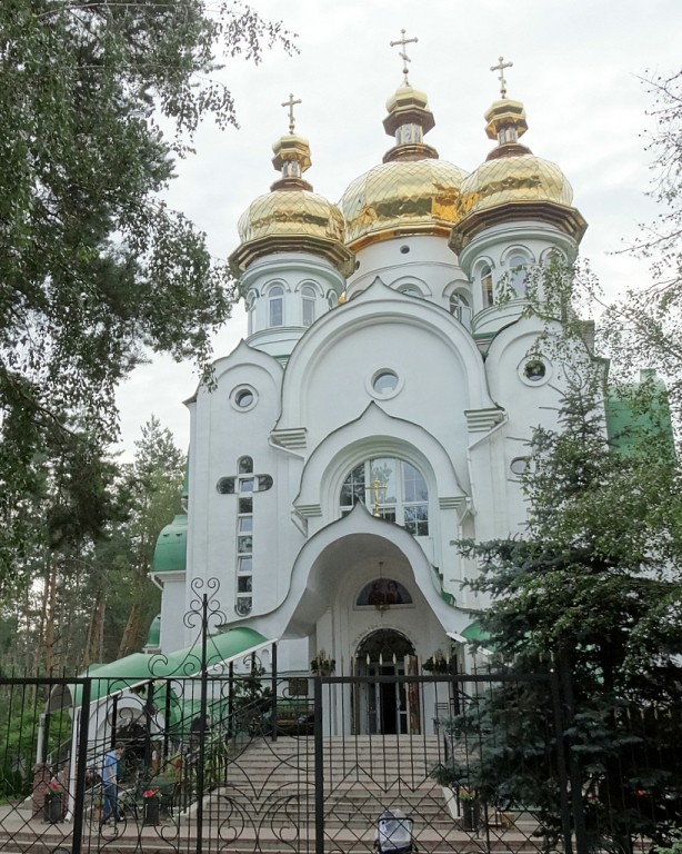 Киев. Церковь Адриана и Наталии. фасады