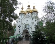 Церковь Адриана и Наталии, , Лесной массив, Деснянский район, Украина, г. Киев