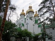 Церковь Адриана и Наталии, , Лесной массив, Деснянский район, Украина, г. Киев