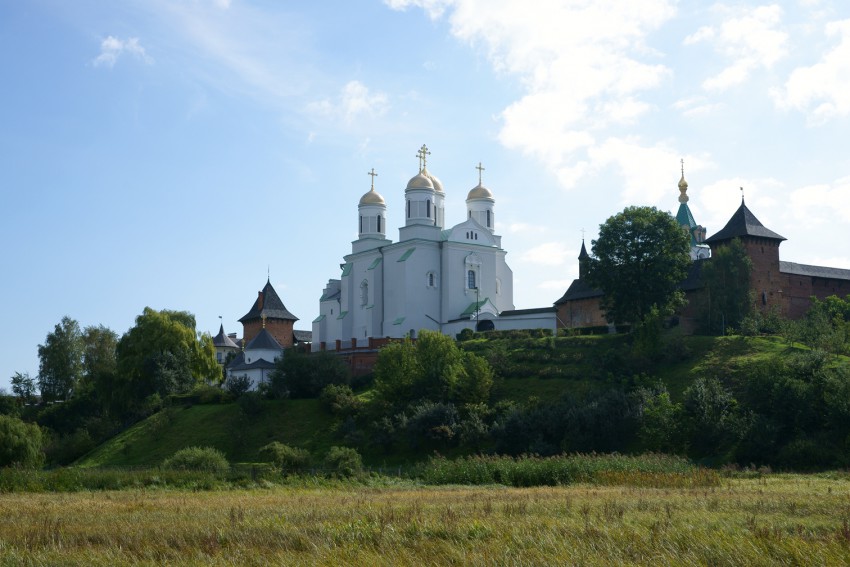 Зимнее. Успенский Святогорский Зимненский женский монастырь. общий вид в ландшафте