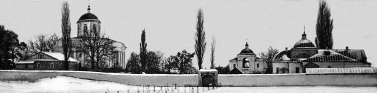 Монастырь Рождества Богородицы, Домница (Корюковский район, Украина, Черниговская область). архивная фотография, Панорама Домницкого монастыря. Фото конца ХІХ в.