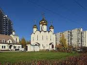 Митино. Спаса Всемилостивого в Митине, церковь