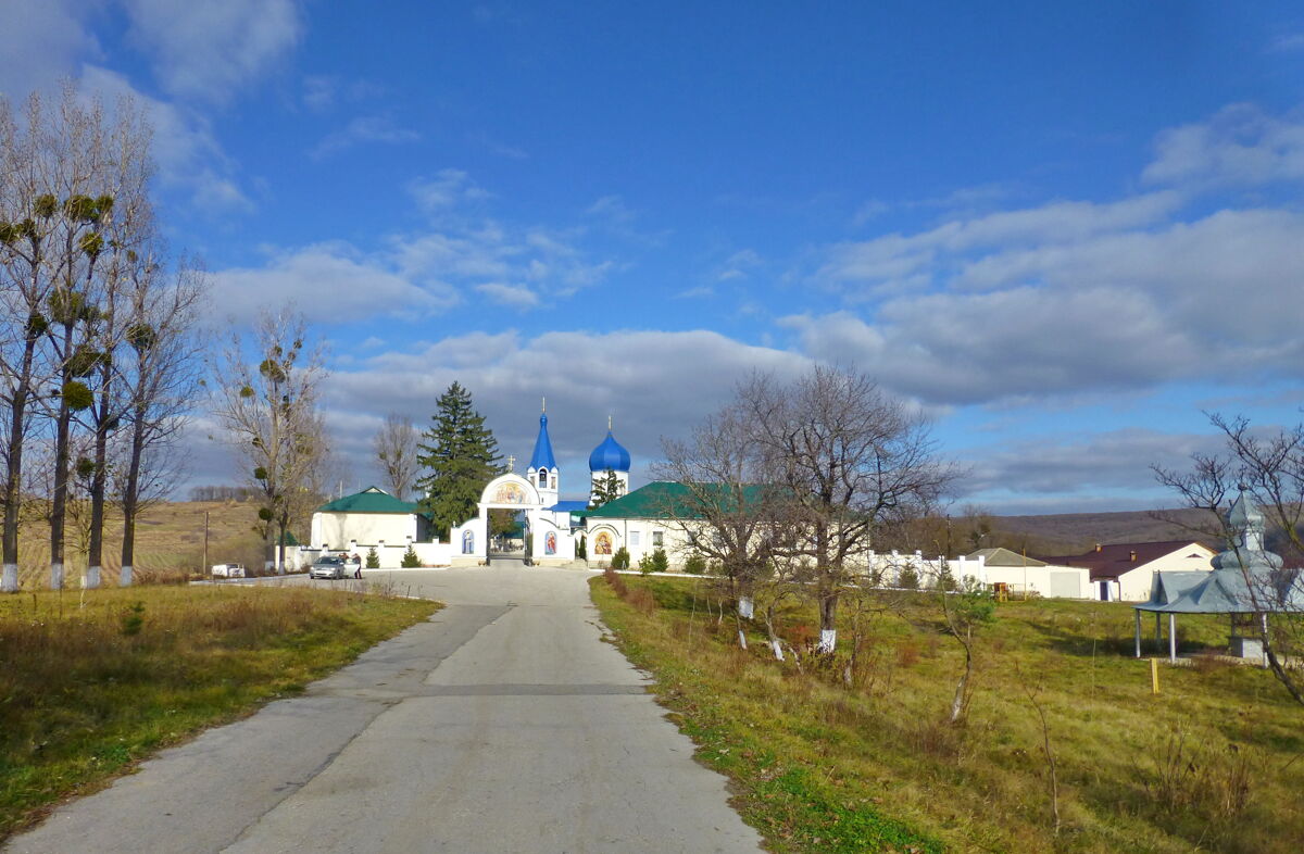 Фрумошский Троицкий монастырь, Фрумоаса (Каларашский район, Молдова). общий вид в ландшафте