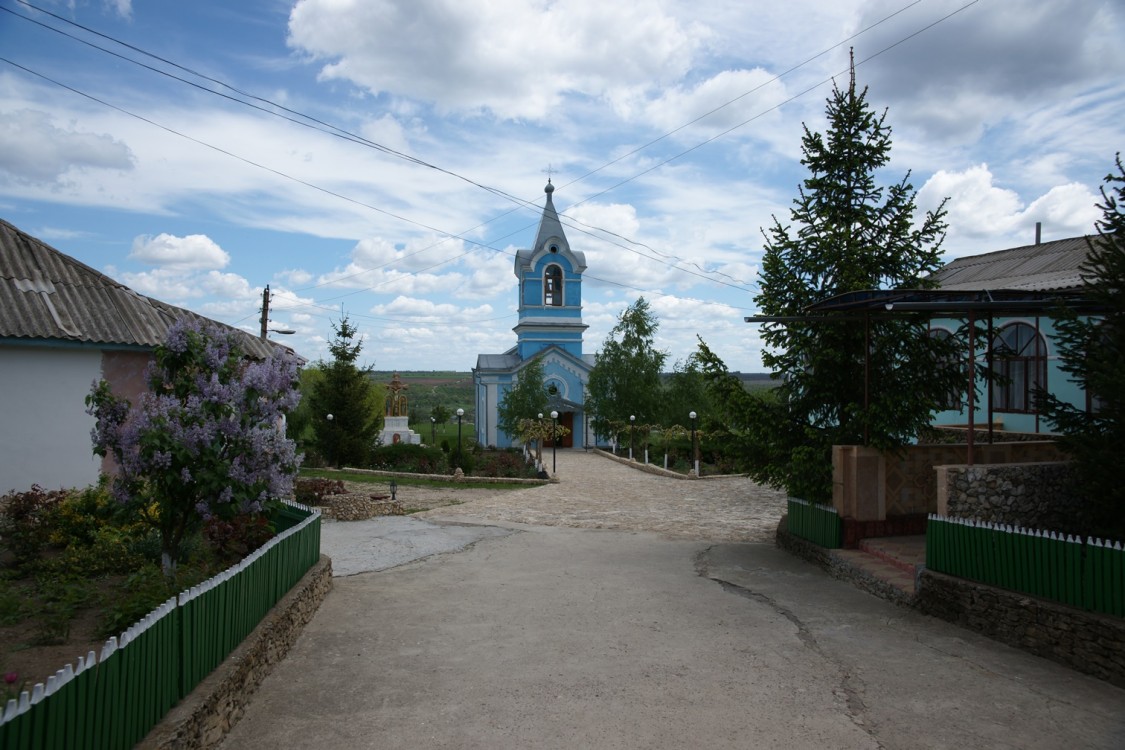 Цыпово. Городищенский Успения Пресвятой Богородицы монастырь. общий вид в ландшафте