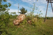 Церковь Рождества Пресвятой Богородицы, , Рождественское, Колпнянский район, Орловская область