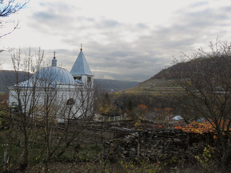 Строенцы. Церковь Михаила Архангела. общий вид в ландшафте