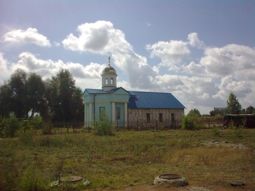 Киев. Церковь Ксении Петербургской. общий вид в ландшафте