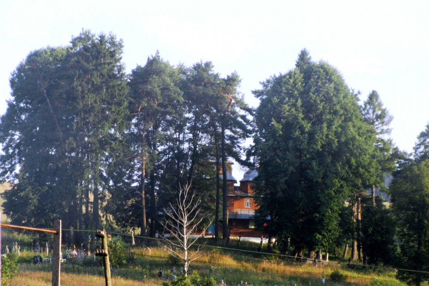 Матков. Церковь Троицы Живоначальной. общий вид в ландшафте, вид с шоссе Матков - Борыня