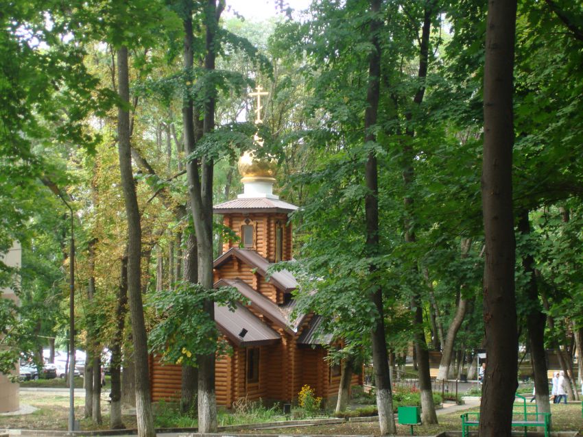 Пятигорск. Церковь Луки (Войно-Ясенецкого). общий вид в ландшафте