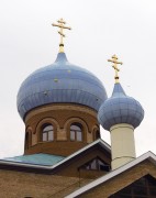 Церковь Казанской иконы Божией Матери, Купола храма<br>, Мехзавод, Самара, город, Самарская область