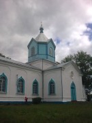 Церковь Рождества Пресвятой Богородицы, , Ходорков, Житомирский район, Украина, Житомирская область