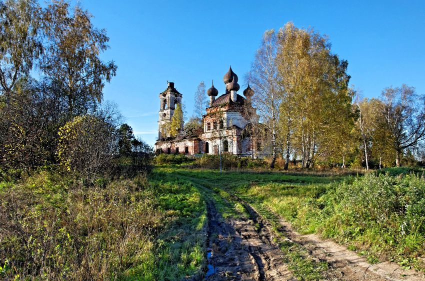 Спас-Шелутино. Церковь Троицы Живоначальной. общий вид в ландшафте