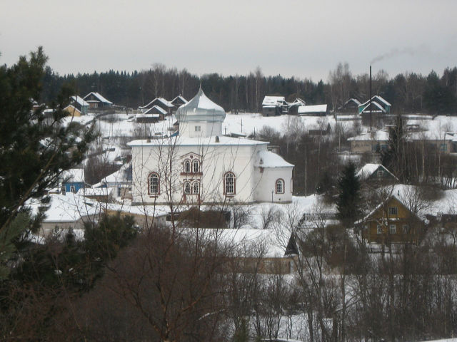 Церковь Николая Чудотворца, Полищи (Окуловский район, Новгородская область). общий вид в ландшафте