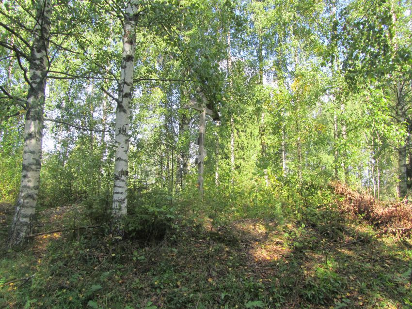 Кирилло-Челмогорская пустынь, Чёлма, урочище (Каргопольский район, Архангельская область). фасады, холм с крестом на месте разрушенных храмов - каменных и деревянного