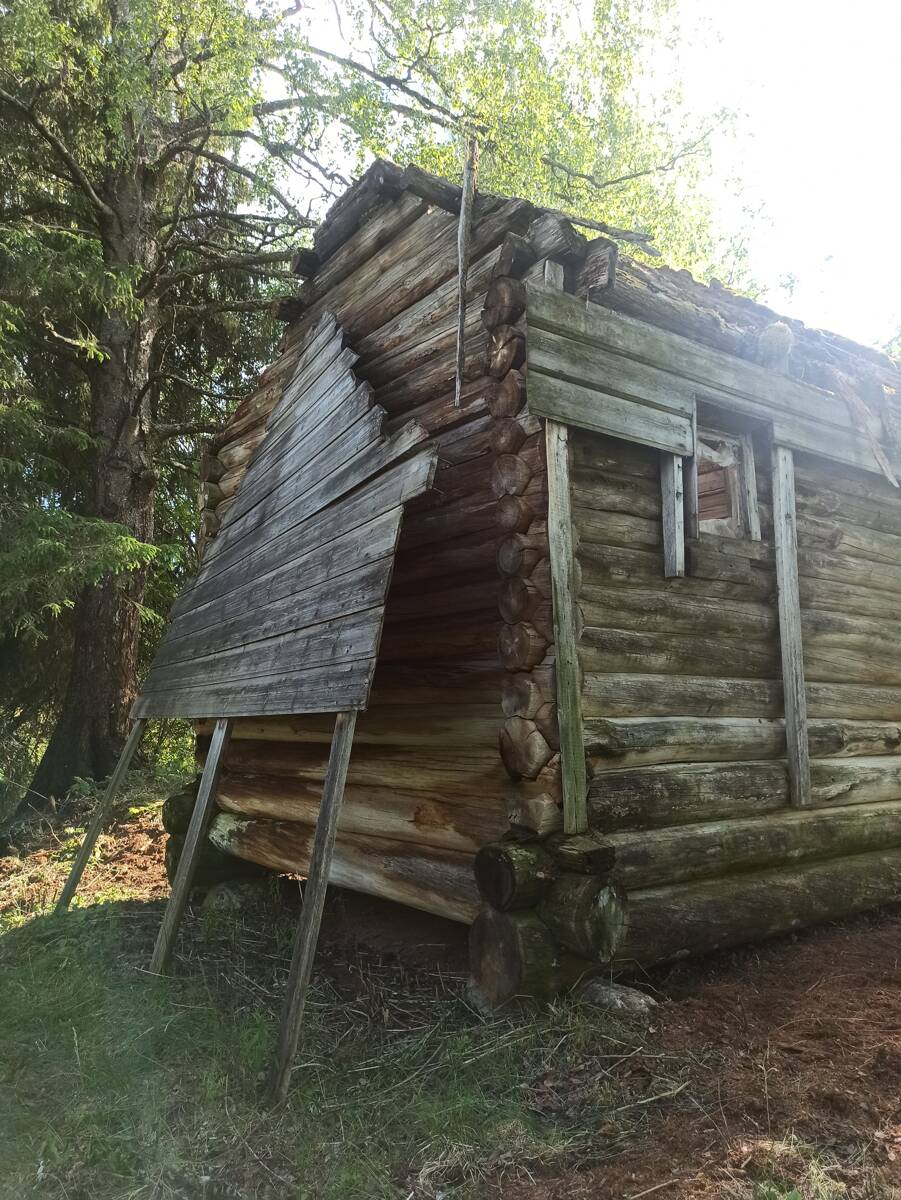 Часовня Казанской иконы Божией Матери, Костина Гора (Пудожский район, Республика Карелия). фасады, Разведывательная экспедиция Общего дела. 