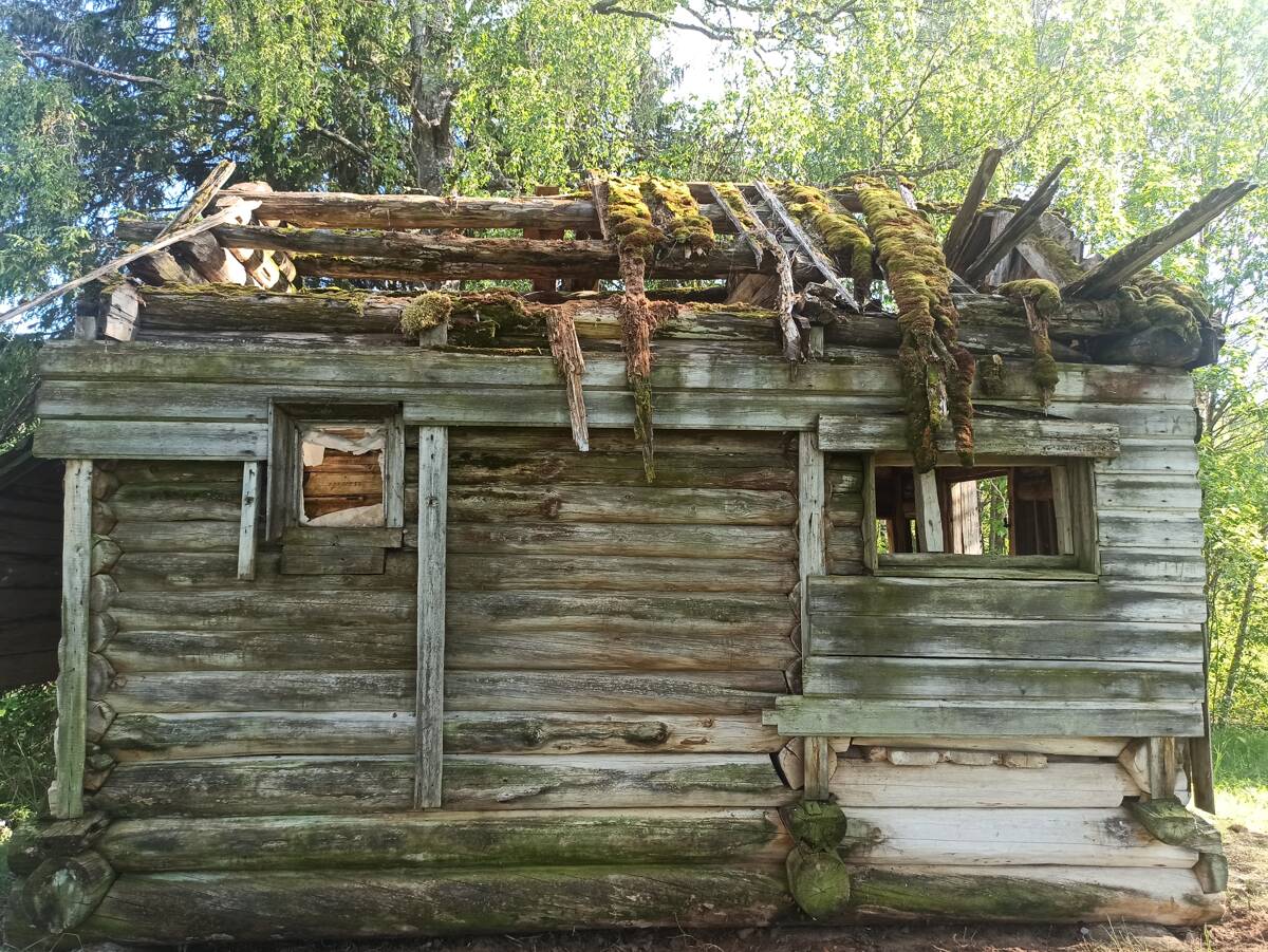 Часовня Казанской иконы Божией Матери, Костина Гора (Пудожский район, Республика Карелия). фасады, Разведывательная экспедиция Общего дела. 