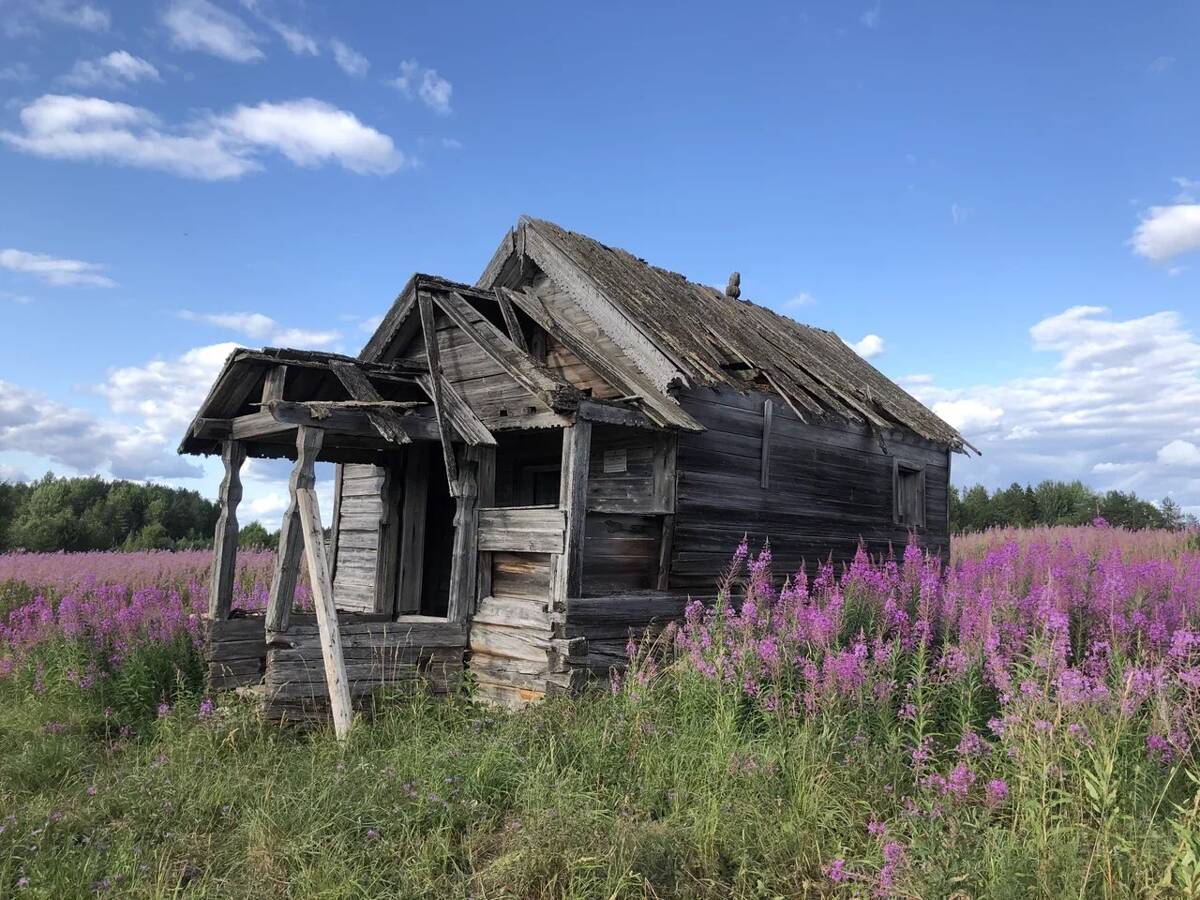 Часовня Казанской иконы Божией Матери, Пялозеро (Пудожский район, Республика Карелия). фасады