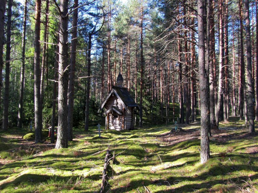 Пелусозеро. Часовня Рождества Пресвятой Богородицы. общий вид в ландшафте