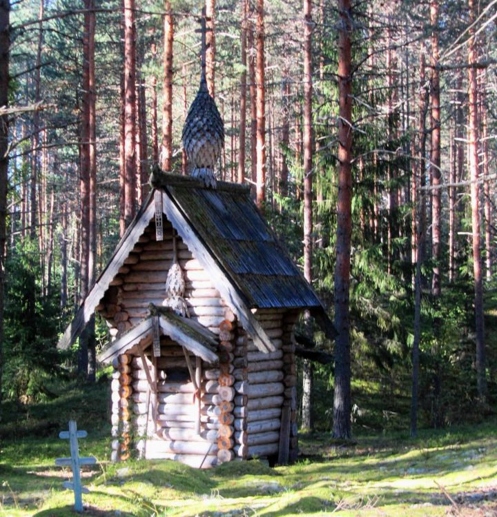 Пелусозеро. Часовня Рождества Пресвятой Богородицы. фасады, вид с северо-востока