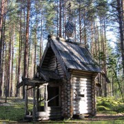 Часовня Рождества Пресвятой Богородицы - Пелусозеро - Пудожский район - Республика Карелия