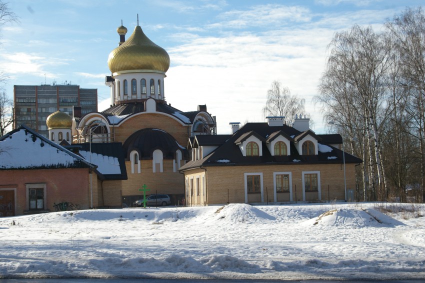 Рига. Церковь Новомучеников и исповедников Церкви Русской. общий вид в ландшафте