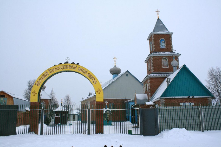 Печора. Печорский Богородицкий Скоропослушнический женский монастырь. общий вид в ландшафте