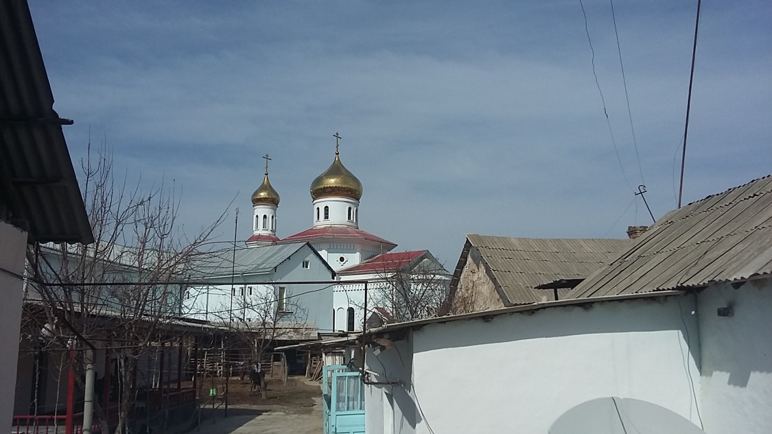 Дустабад (Солдатское). Покровский женский монастырь. общий вид в ландшафте