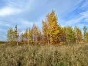 Церковь Георгия Победоносца, церковище Георгиевской церкви, вид с юго-востока<br>, Римское, Пудожский район, Республика Карелия