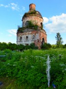 Новое Село (погост Успенский на Болоте). Успения Пресвятой Богородицы, церковь