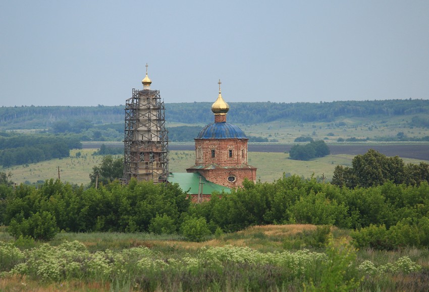 Троицкое. Церковь Троицы Живоначальной. общий вид в ландшафте