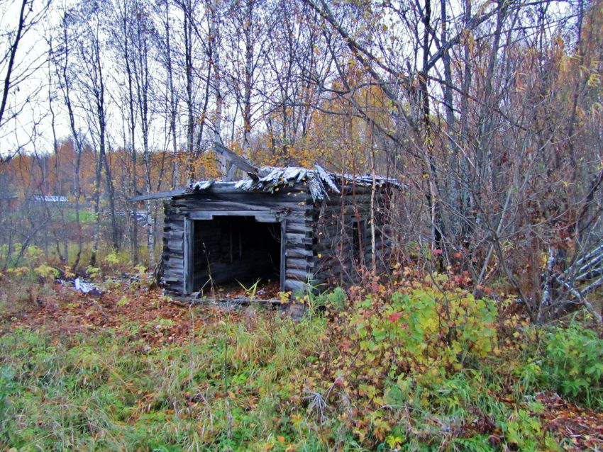 Часовня Покрова Пресвятой Богородицы, Харюшинская (Вельский район, Архангельская область). общий вид в ландшафте, вид с юго-запада