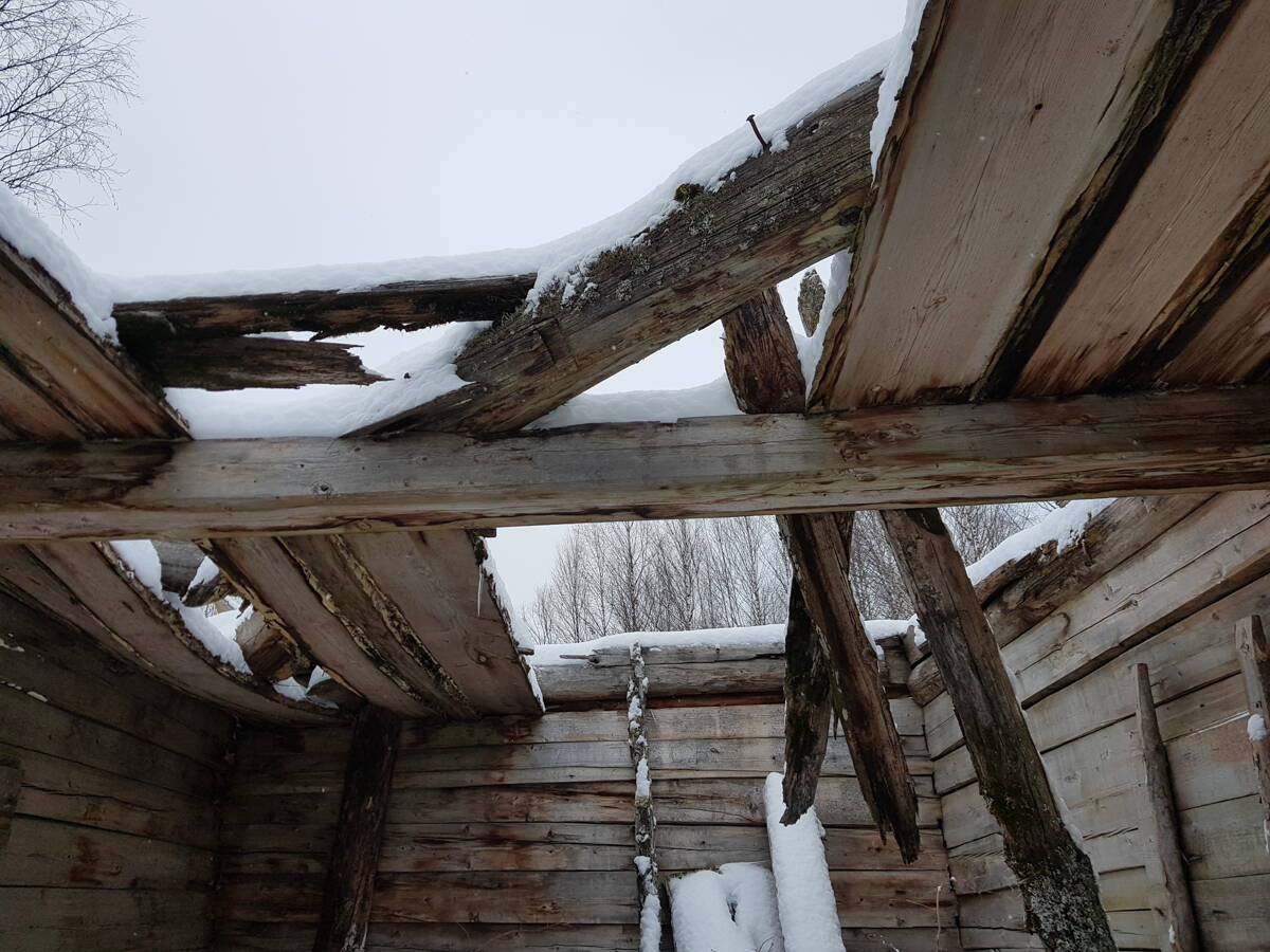 Часовня Покрова Пресвятой Богородицы, Харюшинская (Вельский район, Архангельская область). архитектурные детали