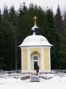 Антониево-Дымский Троицкий мужской монастырь. Часовня Антония Дымского, , Броневик, Бокситогорский район, Ленинградская область