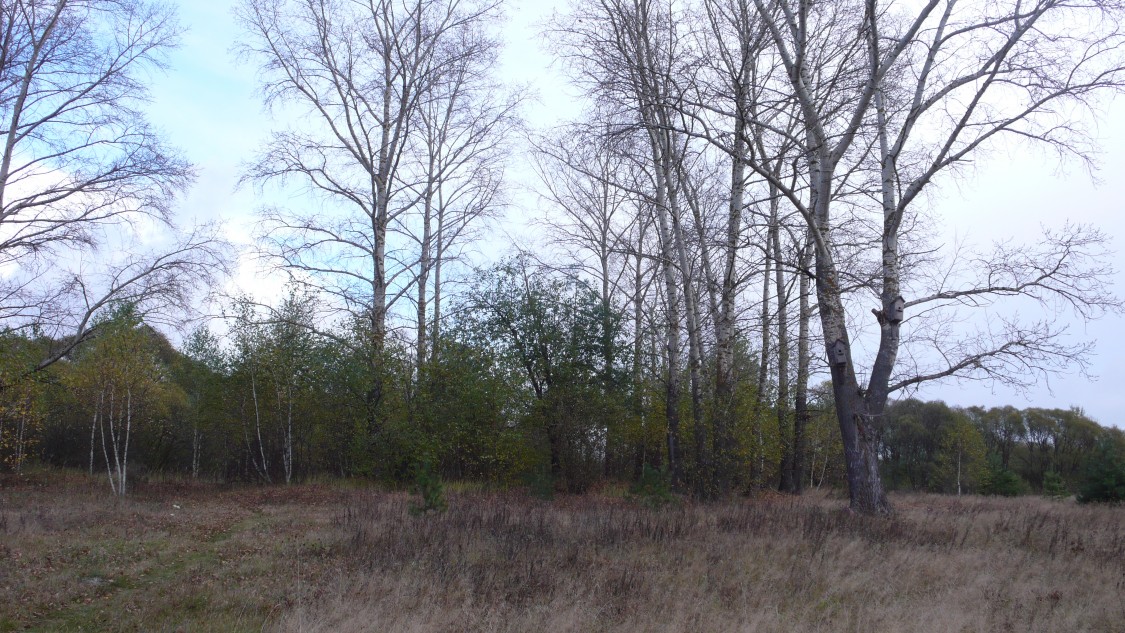 Церковь Покрова Пресвятой Богородицы, Максино (Клепиковский район, Рязанская область). дополнительная информация, Место, где стояла церковь в с.Максино